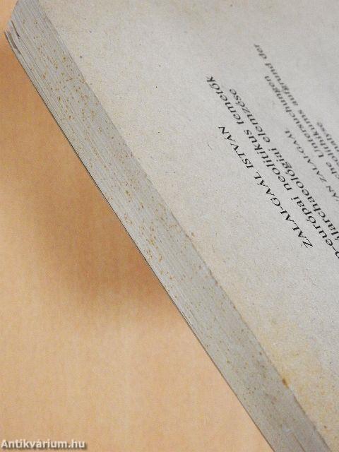 Közép-európai neolitikus temetők szociálarchaeológiai elemzése