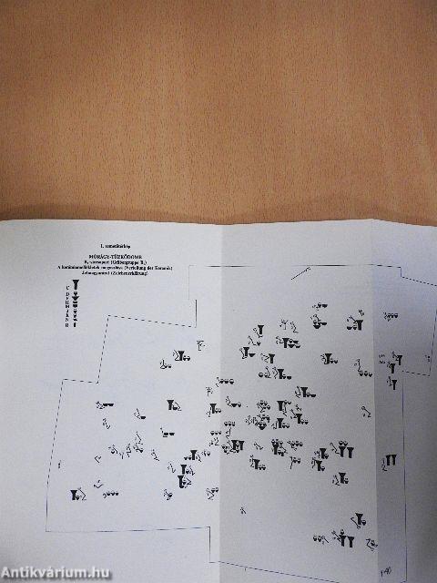 Közép-európai neolitikus temetők szociálarchaeológiai elemzése