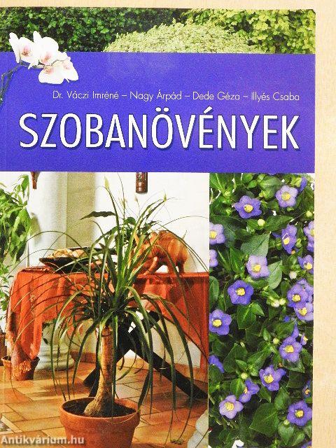 Szobanövények