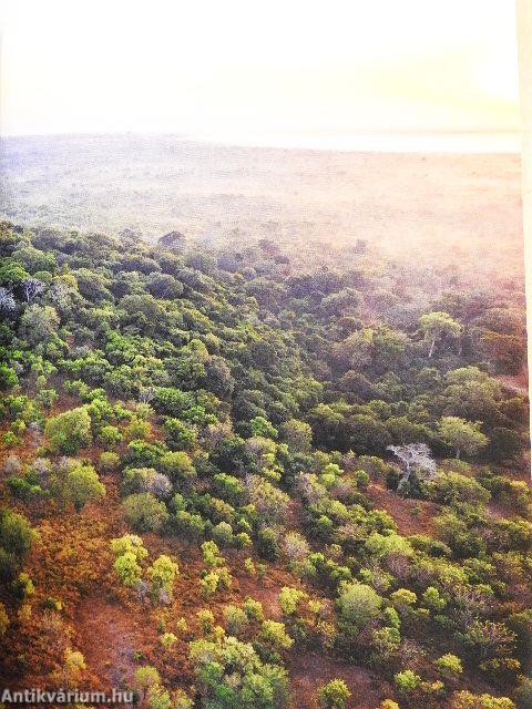 National Geographic Maj 2019