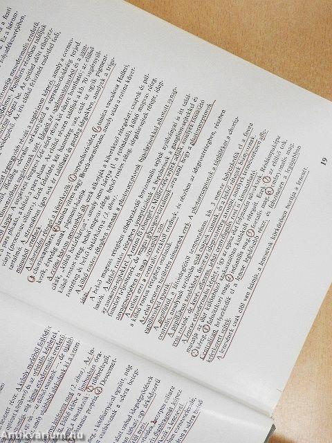 A szemészet alapvonalai