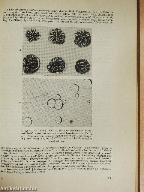 Biológiai gyakorlatok