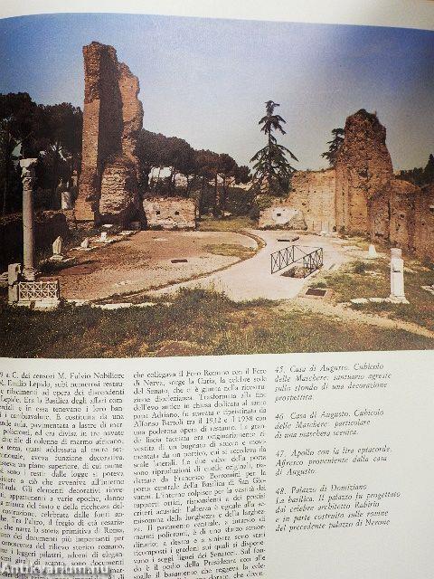 Il Foro Romano e il Palatino