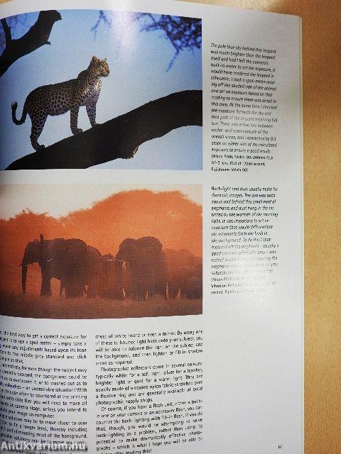 Practical Wildlife Photography