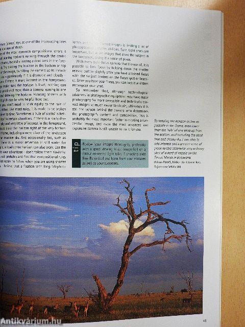 Practical Wildlife Photography