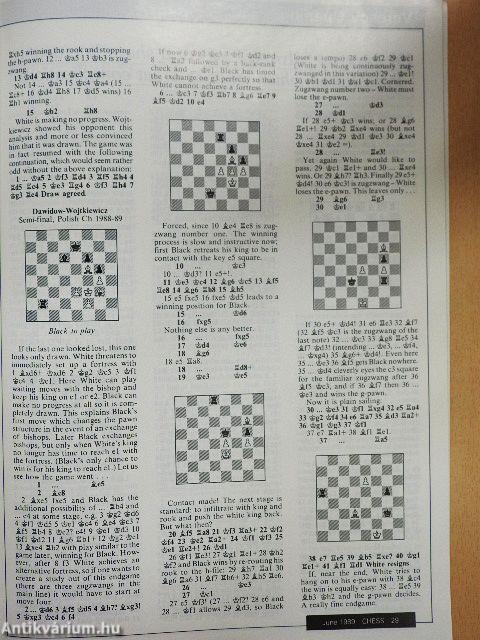 Pergamon Chess June 1989