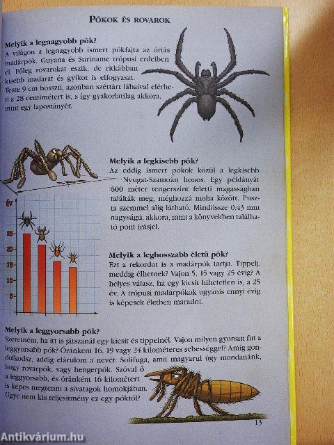 Tudod-e? - A legelsők, a legnagyobbak, a leggyorsabbak...