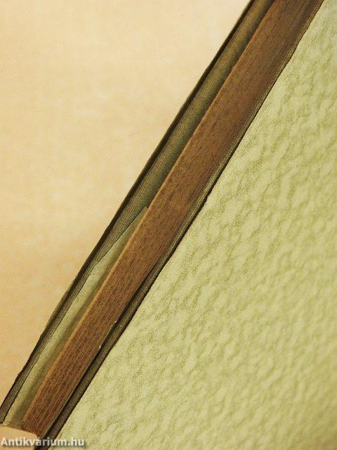 Prózai írások/Válogatott versek