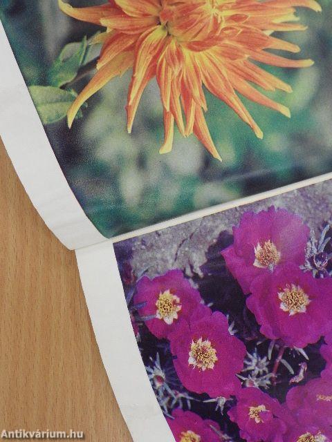 Vetőmag-árjegyzék 1973-1974