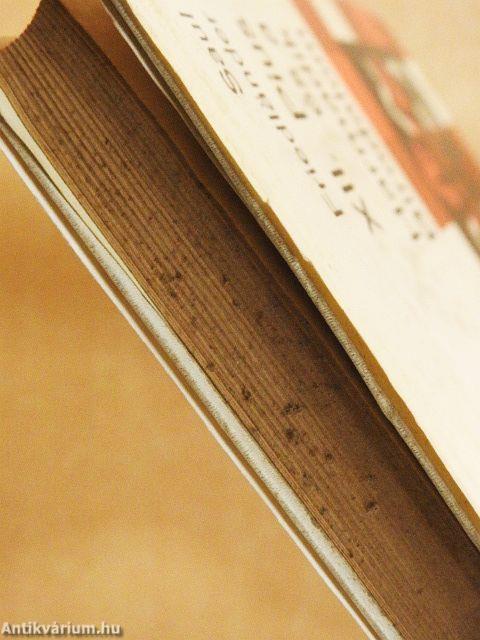 XII. Pius és a Harmadik Birodalom