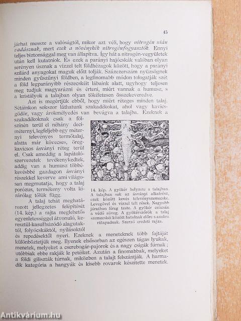 Élet a termőföldben/Kerti séták