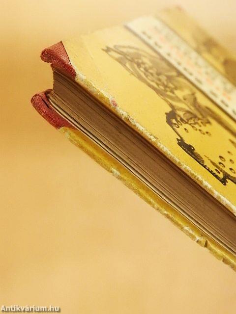 Históriák a magyar régészet történetéből