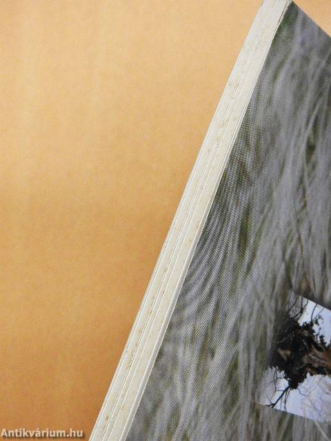 Zákányszék és Borszék épített és természeti értékei