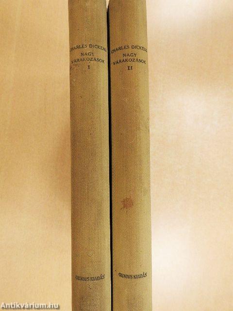 Nagy várakozások I-II.