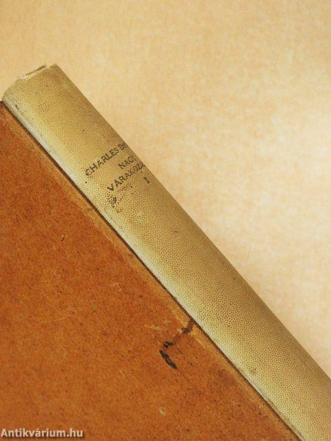 Nagy várakozások I-II.