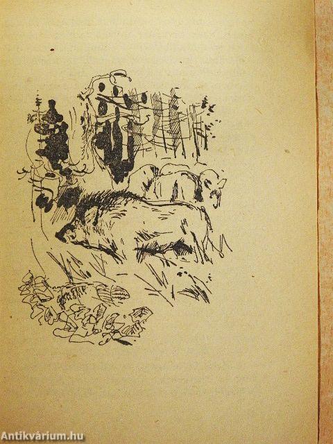 Az őserdők fia I-II.