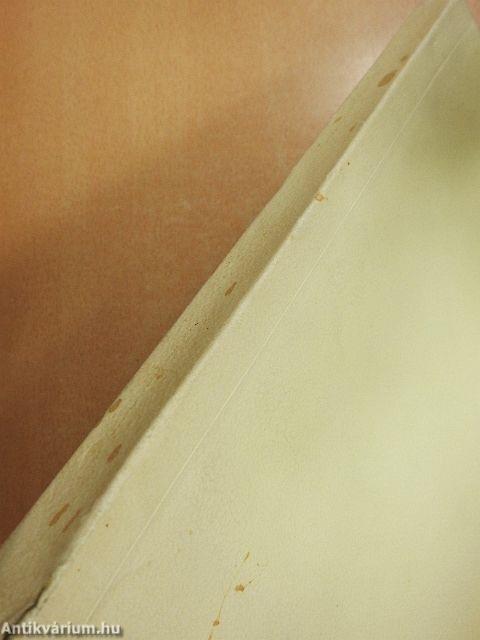 Kórképek-Tünetek-Terápia