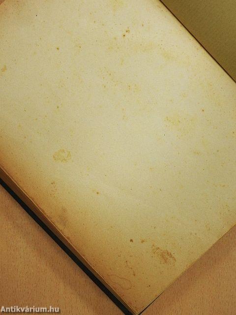 Húsz évszázad viharában