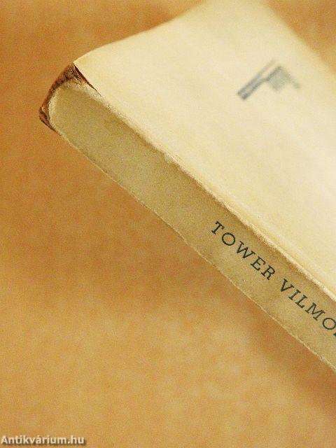 Kit vegyek el feleségül?