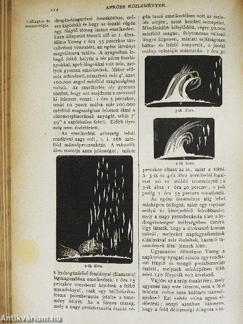 Természettudományi Közlöny 1872. január-december