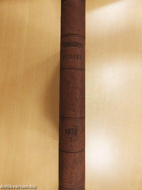 Természettudományi Közlöny 1871. január-december
