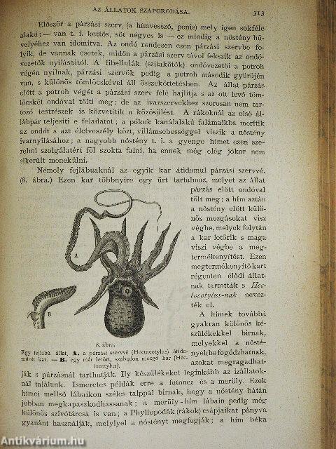 Természettudományi Közlöny 1871. január-december