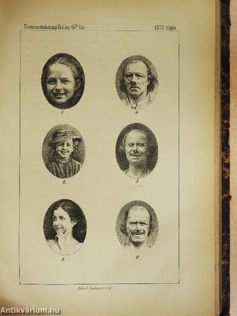 Természettudományi Közlöny 1873. január-december