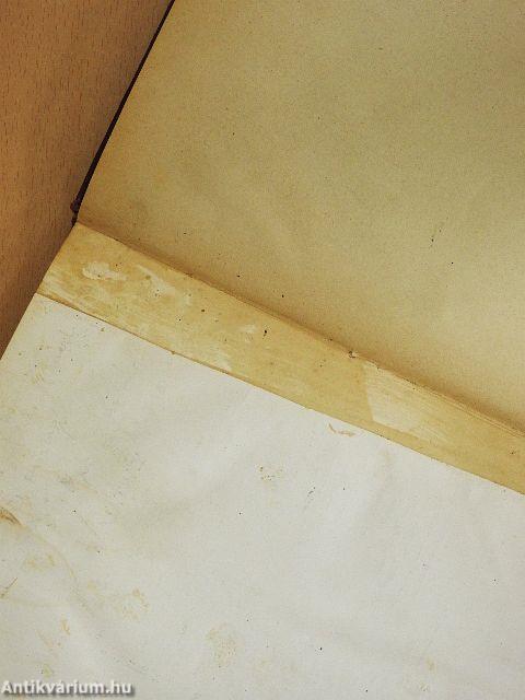 Budapesttől San-Franciscoig