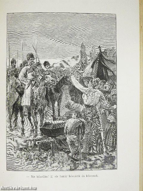 Csataképek a magyar szabadságharczból