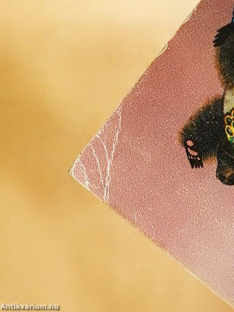 Magyar-orosz társalgási zsebkönyv turisták számára