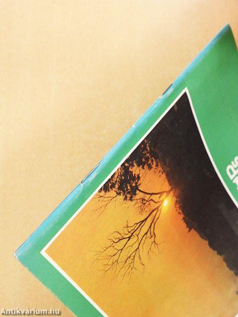 Meghívó Bratislavába