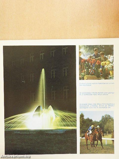 Meghívó Bratislavába