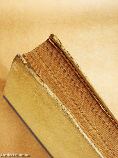 A labdarúgó játékvezetés iskolája