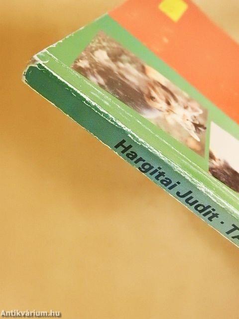 Tacskók és terrierek