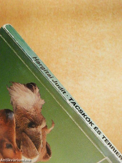 Tacskók és terrierek