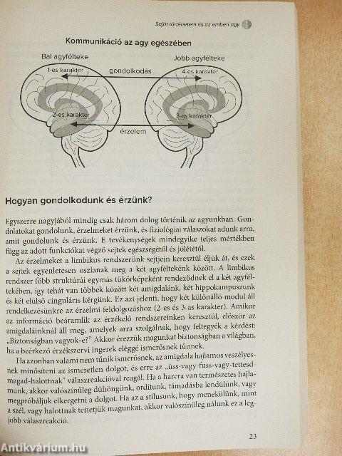 Teljes élet teljes aggyal