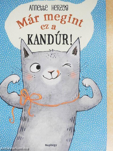 Már megint ez a kandúr!