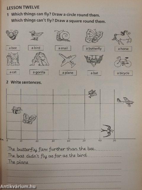 Flying High 1. - Students' Book One/Workbook One