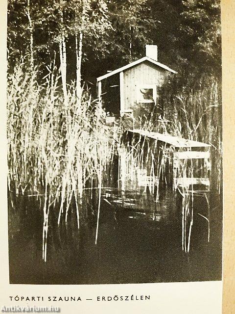 Rénszarvassült tejjel