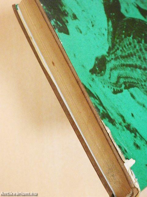 Kalandok a brazíliai őserdőben