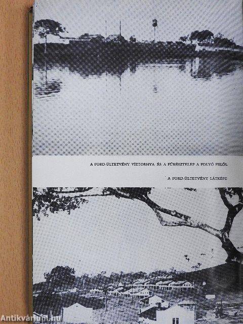 Kalandok a brazíliai őserdőben