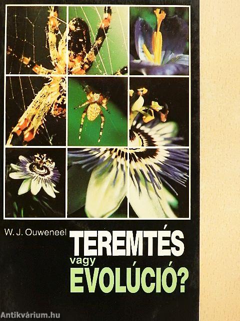 Teremtés vagy evolúció?