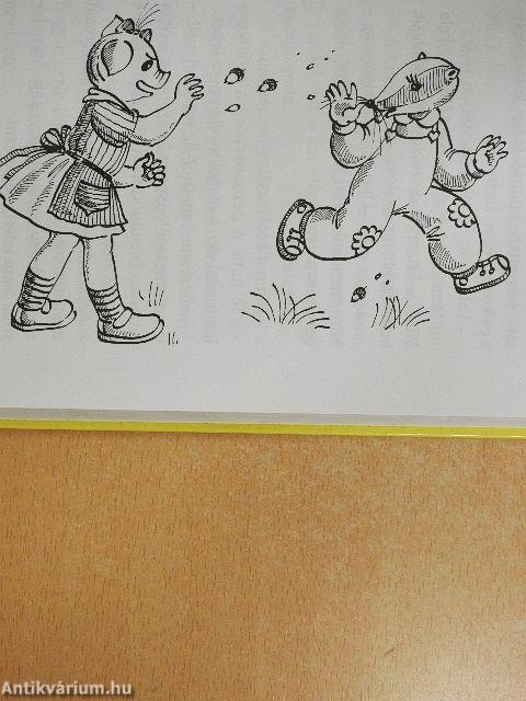 Tapsikáné fülönfüggője