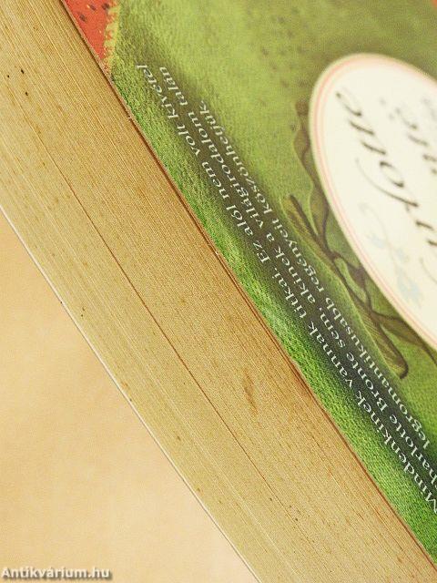 Charlotte Brontë titkos naplója