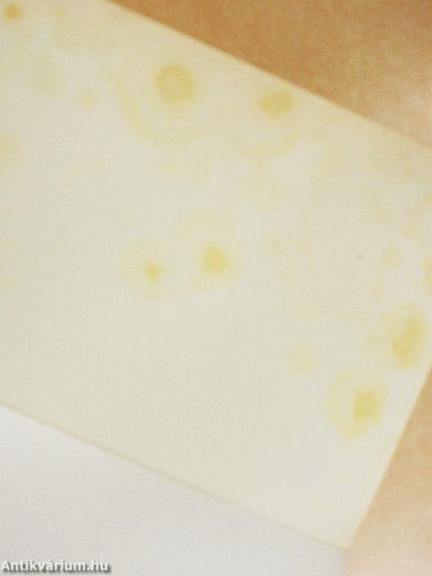 Charlotte Brontë titkos naplója