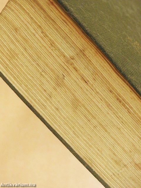 Hegyet hágék, lőtőt lépék