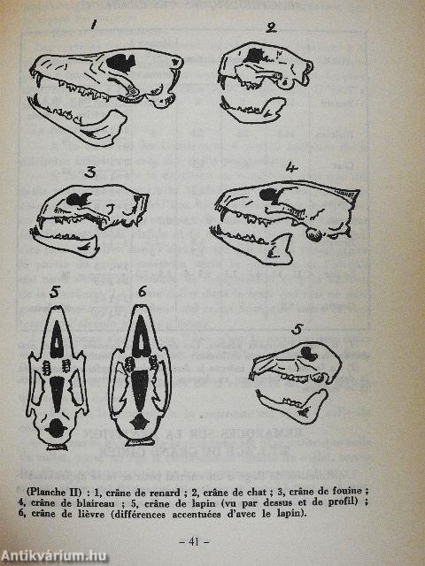 Indices et Empreintes du Gibier