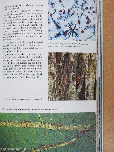 Collins Guide to Animal Tracks and Signs