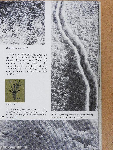 Collins Guide to Animal Tracks and Signs