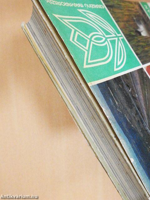 S középen ott a Velencei-tó...